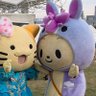 イーブイ🎶-みきゃん🍊不具合で返信できない時あり😣🚄 profil fotoğrafı