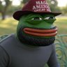 LincolnFawkes's profile picture