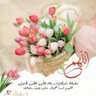 Said Alharbi profil fotoğrafı