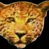 Profilbild von wazalendo4life