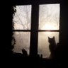 Romko Wiec's profile picture
