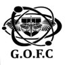GO FC profil fotoğrafı