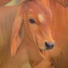 MISTAGRIN's profile picture