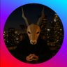 vrdhex's profile picture