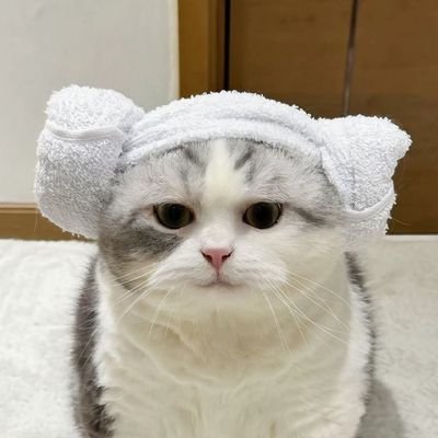 GrdkdceUNzyanSi's profile picture
