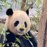 Profilbild von Tao