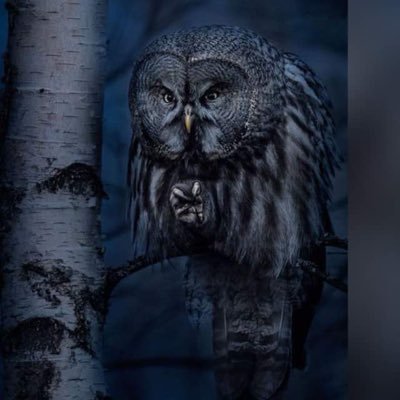 BiggBlaise's profile picture