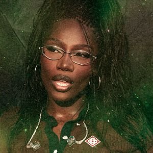 acervoechii's profile picture