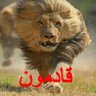 عباس شرف الهادي Abbas Sharaf Alhadi 的头像