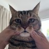 かずまです profil fotoğrafı