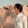 STN 🇸🇦 的头像