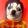 Profilbild von The Chiawawa