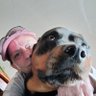 Profilbild von Stacey Ann Snowden