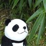 パン之進's profile picture