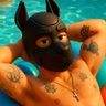 🇨🇭Swiss_Guy_looners🏳️‍🌈/🇫🇷 的头像