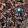 Фото профиля 春うらら
