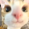 ai-jiw's profile picture