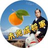 バーガー@未完成将軍😤's profile picture