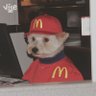 达达's profile picture