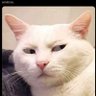 Rangersgirl57's profile picture