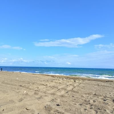 Hakansibel32425's profile picture