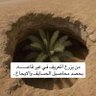 Mhmad Qatar 的头像