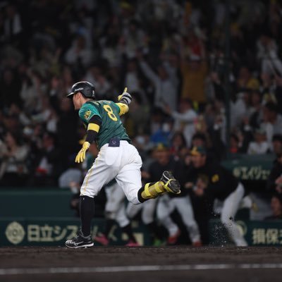 🐯虎党🐯チェダーマン's profile picture