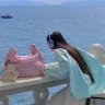 酱油瓶 profil fotoğrafı