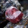 Red Diamond Red profil fotoğrafı