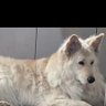 Don Mum 的头像