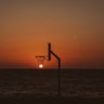 Sunset Hoops 的头像