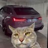 Ali Fırat's profile picture