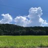 ポチ2 的头像