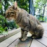生存法則 profil fotoğrafı