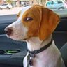 Brick Layer's profile picture