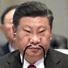 向野近平's profile picture