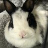 LJ's profile picture