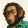 Profilbild von Carlos Dk