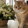 عائشة❥ profil fotoğrafı