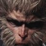 Profilbild von DCROSSZ