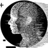 Фото профиля homo duplex