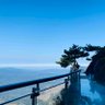 桐风海's profile picture