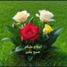 Profilbild von Asad Khan