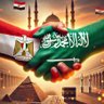 Profilbild von خالد محمود
