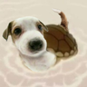 remi 🐾's profile picture