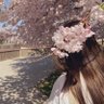 Фото профиля ‏🌸𝐒𝐚𝐤𝐮𝐫𝐚