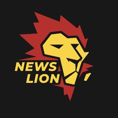 NewsLionSA's profile picture