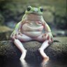 Lorien1973's profile picture