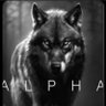 KingFreak profil fotoğrafı