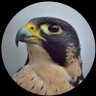 شاعرة❣️حــ بنت البادية ــرب ❣️ profil fotoğrafı